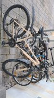 Cube nature pro  Fahrrad top Zustand Herren grs M München - Pasing-Obermenzing Vorschau