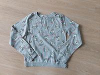 H&M Pullover Langarmshirt Gr.134/140 Sachsen-Anhalt - Schkopau Vorschau