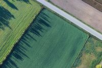 Suche Äcker und Wiesen zur Pacht in Verl Acker Ackerland Wiese Nordrhein-Westfalen - Herford Vorschau