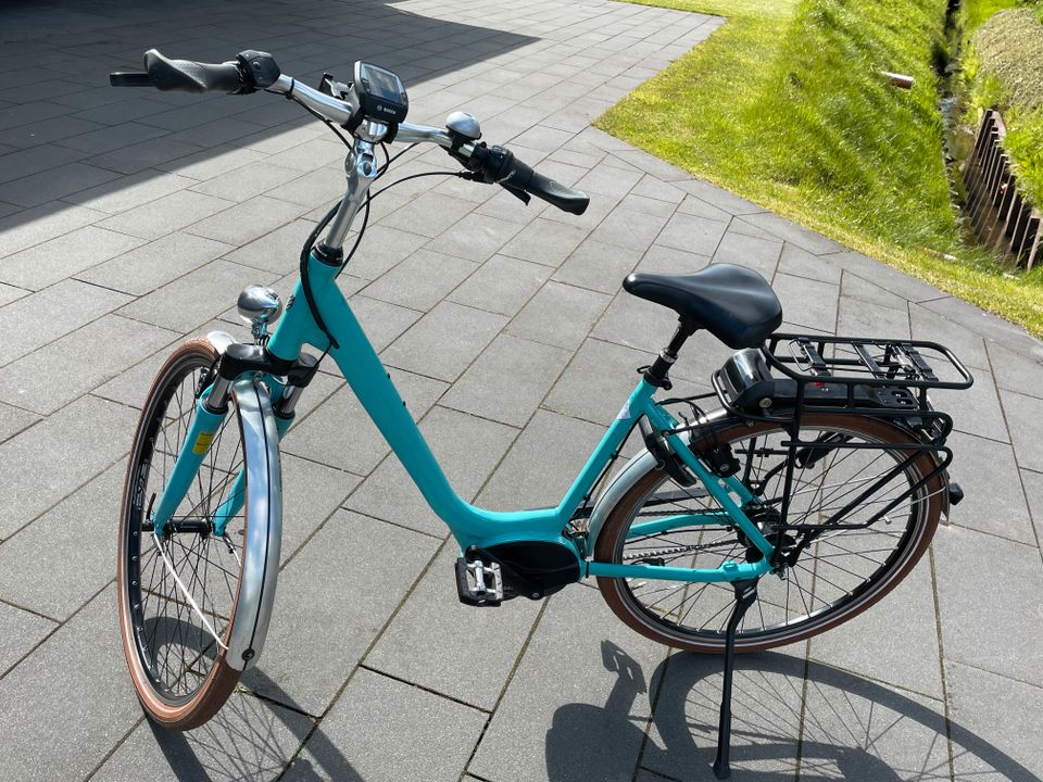 E-Bike Hercules UrbanicoE, 28", 8-Gang in Esens