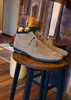 Herren Schuhe - TOD'S - Größe 8,5 / 42,5 Stiefeletten Berlin - Reinickendorf Vorschau
