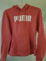 Pinker Puma Hoodie Größe M Nordrhein-Westfalen - Büren Vorschau