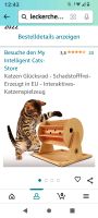 Katzenspielzeug Niedersachsen - Hildesheim Vorschau