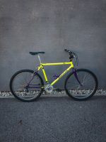 Wheeler 313 Vintage MTB Commuter Citybike Klunker Gravel Kult Bayern - Bamberg Vorschau