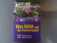 650 Zimmerpflanzen Fensterbank Baden-Württemberg - Ostrach Vorschau