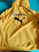 BVB Jacke von Puma Nordrhein-Westfalen - Plettenberg Vorschau