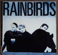 Schallplatte/LP Rainbirds "Rainbirds"  1987 Nordrhein-Westfalen - Wesseling Vorschau