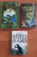 Jugendbücher, City of Bones, Young Sherlock Holmes neu Findorff - Findorff-Bürgerweide Vorschau