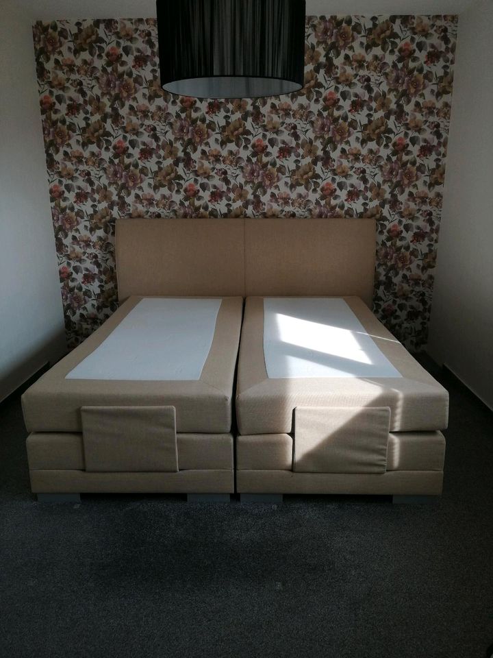 Boxspringbett 180x200 elektrisch verstellbar AVIGNON beige in Ludwigsfelde