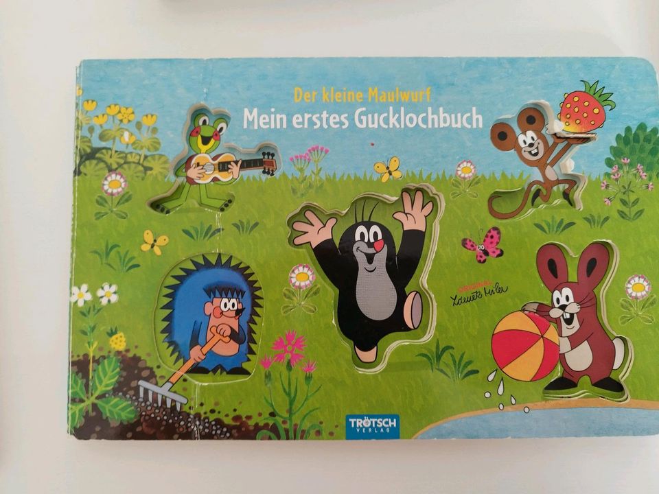 Set Bücher Kinder 1 Jahr 2 Jahre Tiere Maulwurf Autos in Chemnitz