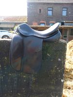 Prestige Top Dressage , schwarz , 17 Zoll Essen - Essen-Werden Vorschau