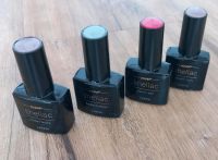 Shellac Jolifin Bayern - Goldbach Vorschau