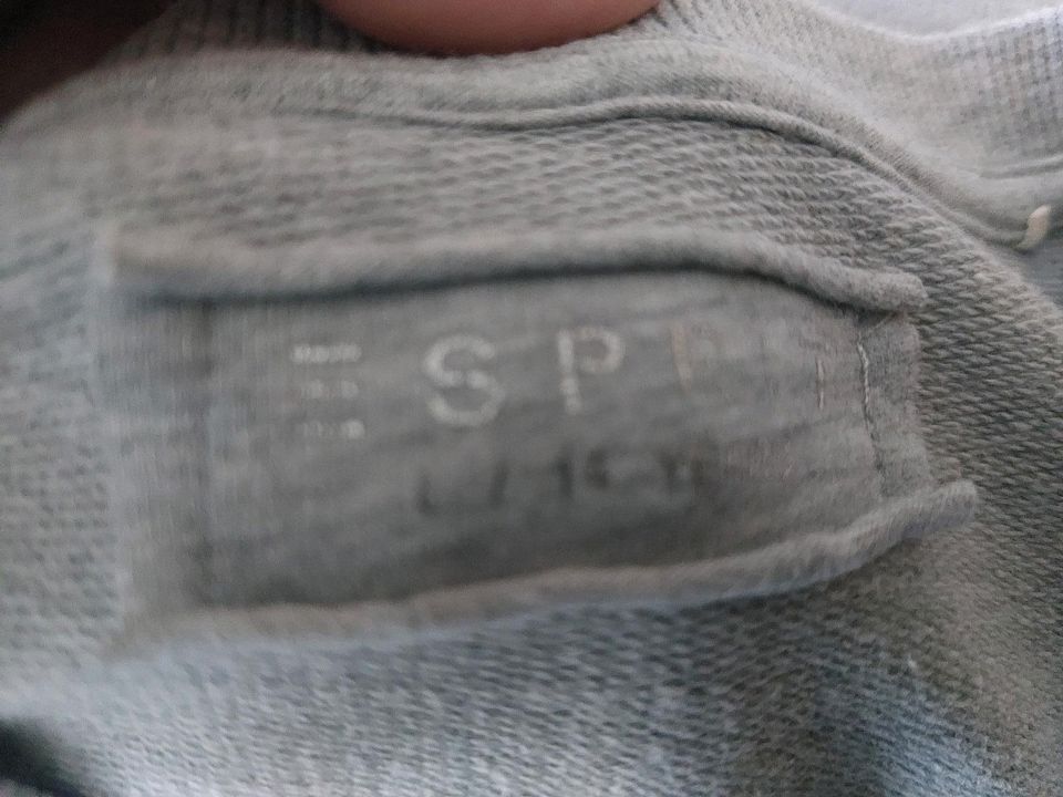 Sweatshirtkleid grau mit Aufdruck, Esprit in Großenseebach