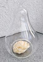 Birnen Deko Glas Vase mit Seiden Rose Baden-Württemberg - Müllheim Vorschau