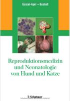 Suche: Reproduktionsmedizin und Neonatologie von Hund und Katze Niedersachsen - Ahnsbeck Vorschau