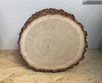 Baumscheibe Eiche Holzscheibe Tischdeko  20cm 25cm Hochzeit Taufe Thüringen - Bürgel Vorschau