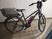 Carver Trekking E-Bike Route 3.40 Hessen - Weiterstadt Vorschau