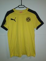 BVB Shirts grau: Gr. L, Shirt gelb: Gr. M +  Kappe Essen - Essen-West Vorschau