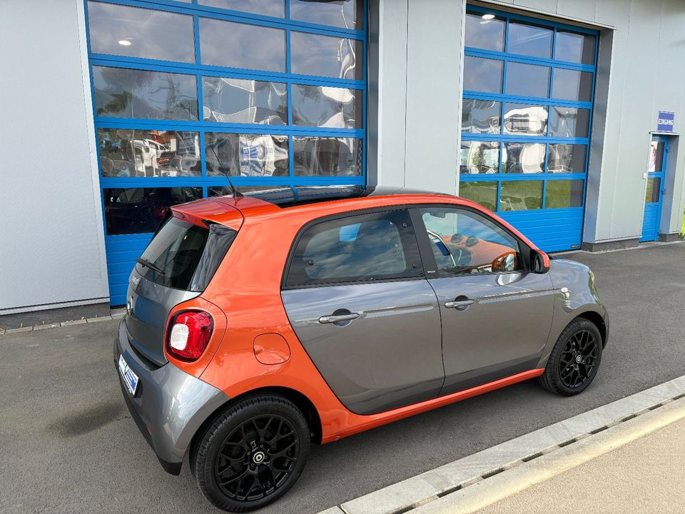 Smart ForFour PASSION Edition #1 PANO SPORT PAKET TEMP in Schmallenberg