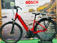 ☆Raleigh Bristol comfort Bosch Plus 500Watt Neuwertig!!!GARANTIE☆ Niedersachsen - Weener Vorschau