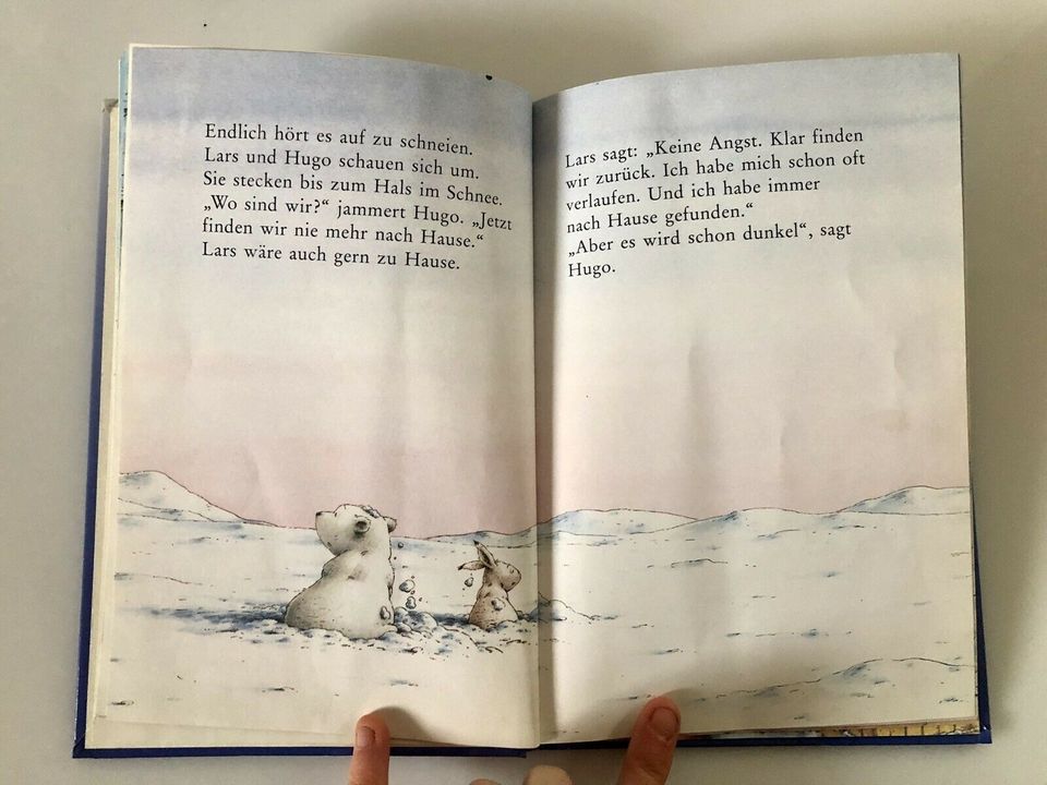 Der kleine Eisbär und der Angsthase, Buch für Leseanfänger in Sasbach
