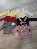 6 Pullover für Babys/Mädchen Größe 62/68 Niedersachsen - Schiffdorf Vorschau