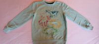 Sweatshirt Dino  Dinosauriern Gr. 122 super Zustand Bayern - Hengersberg Vorschau