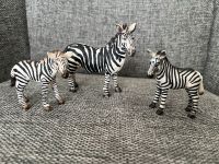 Schleich Zebra Nordrhein-Westfalen - Stemwede Vorschau