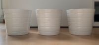 3x Ikea Kardemumma Übertopf 12 cm Weiß Bayern - Würzburg Vorschau