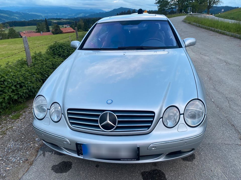 Mercedes-Benz CL600 Designo V12 Sauger C215 W215 in Lindenberg im Allgäu