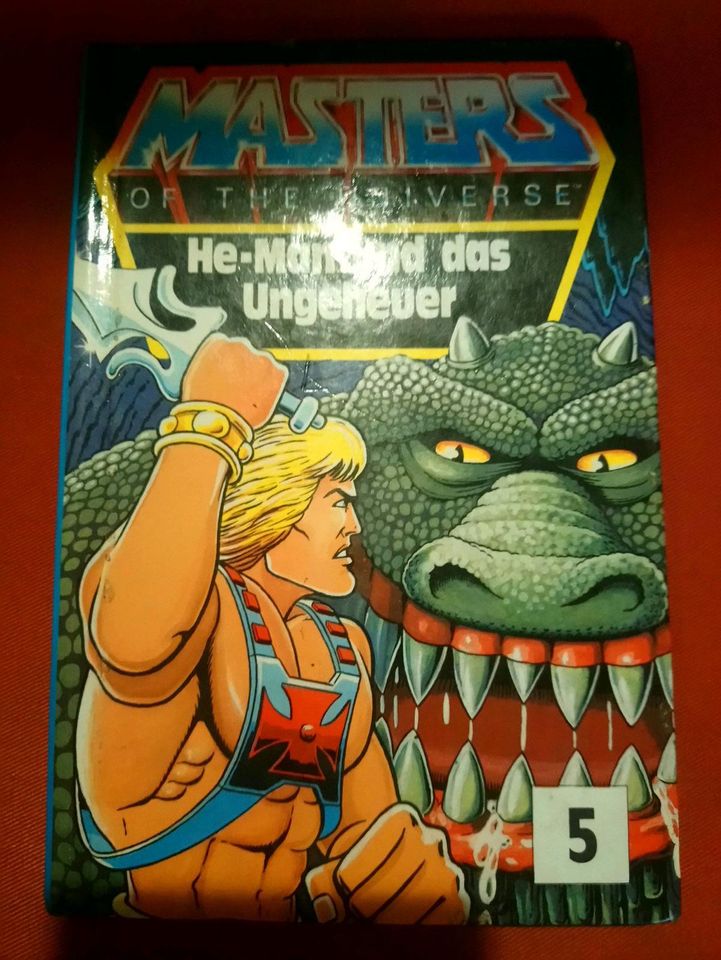 Masters of the universe buch in Saarbrücken