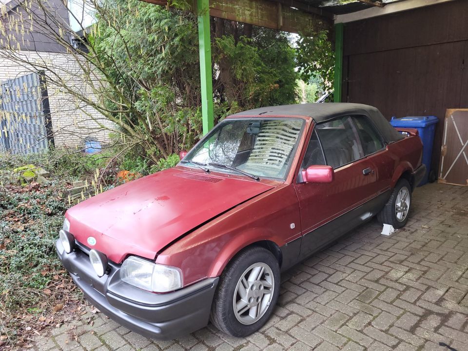 Ford Escort MK4 XR3i Cabrio in Westerkappeln