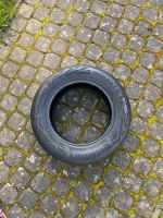 Sommerreifen Continental 175/65 R14 TXL Rostock - Toitenwinkel Vorschau