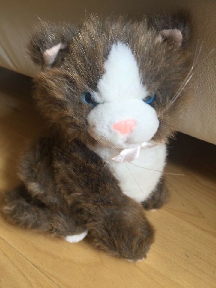 Bär / Teddy , Hase oder Katze von Heunec zu verkaufen in Wiesbaden