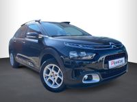 Citroën C4 Cactus PureTech 110 S&S Shine *Sitzh. vorn* Sachsen-Anhalt - Magdeburg Vorschau