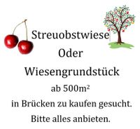 Suche Streuobstwiese Ackerland Wiese Grünland Rheinland-Pfalz - Brücken (Pfalz) Vorschau