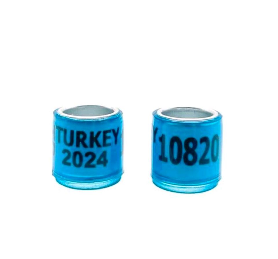 Taubenringe Blau Türkei 2024 Turkey Türkische Tauben Ringe Takla in Nordenham