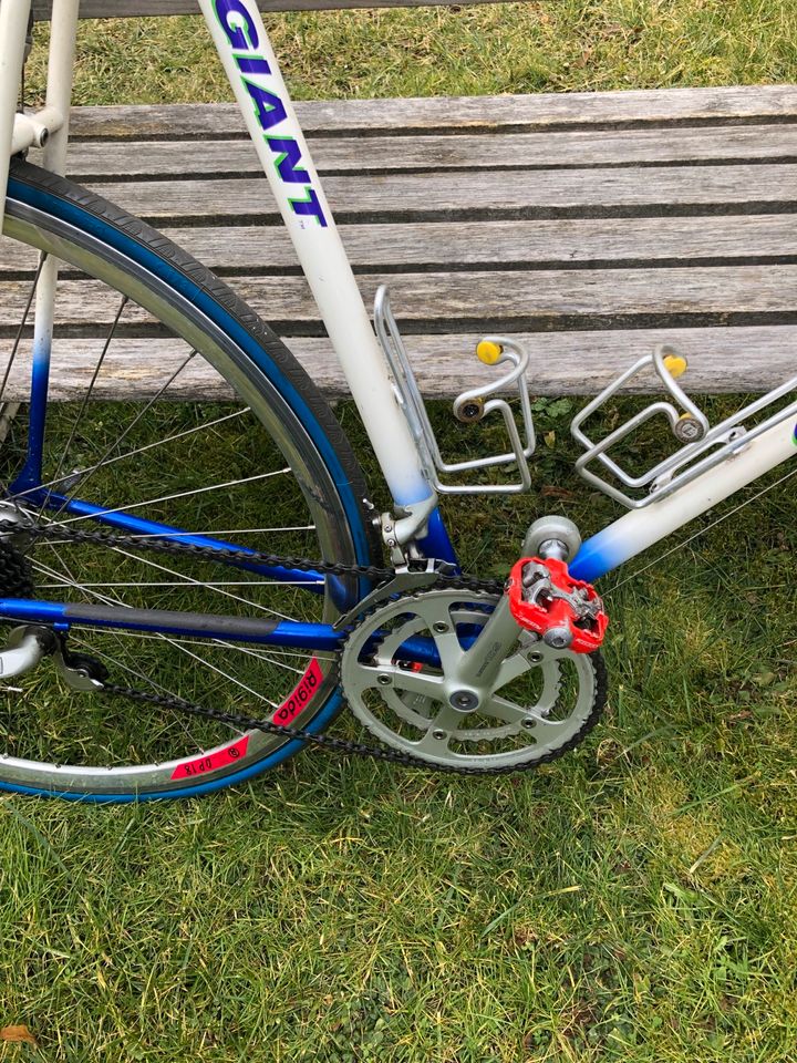 Rennrad Vintage von Giant Peloton in Ostrach