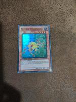 Naturia-Spinnenzange 1. Auflage Yu-Gi-Oh HA02-DE040 Berlin - Wilmersdorf Vorschau