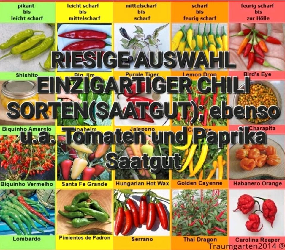 Samen Saatgut Chili Tomaten Paprika Kerne riesige Auswahl in Mainz