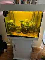 Aquarium von Juwel 120 L  40x60 cm Hessen - Rüsselsheim Vorschau