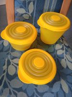 Tupperware Bungee 3er Set Baden-Württemberg - Weingarten Vorschau