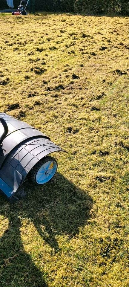 Rasen abtragen entfernen Rollrasen verlegen vertikutieren lüften in Goch