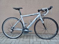 Rennrad Giant OCR Grau RH 56 Shimano Sora Schwalbe Pro One TOP Bonn - Beuel Vorschau