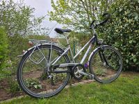 Damen Fahrrad Shimano Lichtautomatik Gepäckträger Citybike Bayern - Großostheim Vorschau
