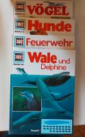 Was ist Was Bücher, Band 11, 40, 85 , 114 Fwuerwehr, Hunde, Wale Rheinland-Pfalz - Kasbach-Ohlenberg Vorschau