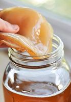 Kombucha scoby Nordrhein-Westfalen - Kierspe Vorschau