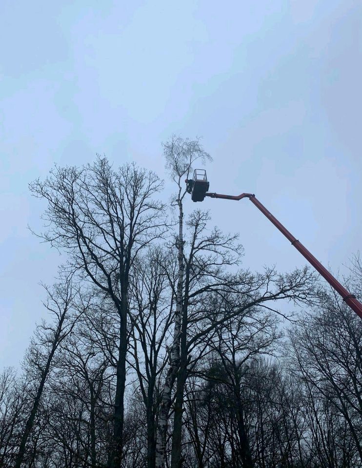 Gärtner, Gartenpflege, Heckenschnitt und Objektbetreuung in Hoppstädten-Weiersbach