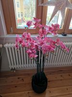 Deko Orchidee, rosa, 115 cm hoch Brandenburg - Oranienburg Vorschau