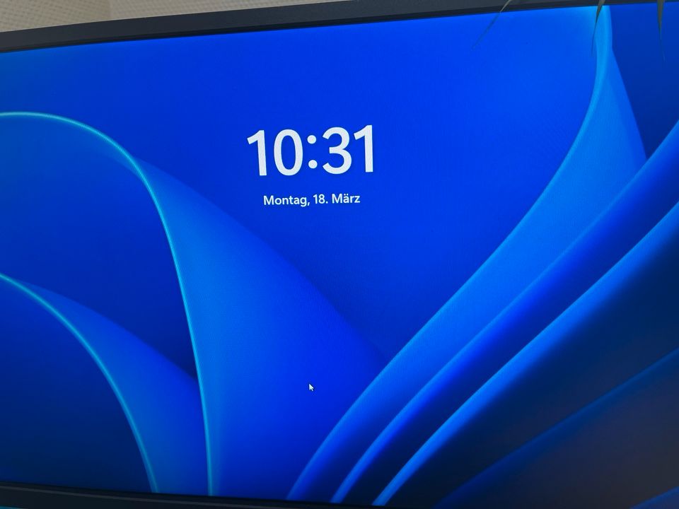 Samsung Colour Display 24 Zoll in Rostock